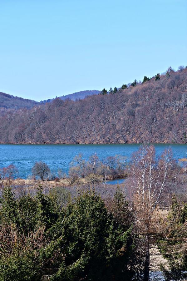 Drozdowka Nad Solina - Chata Z Kominkiem Dış mekan fotoğraf