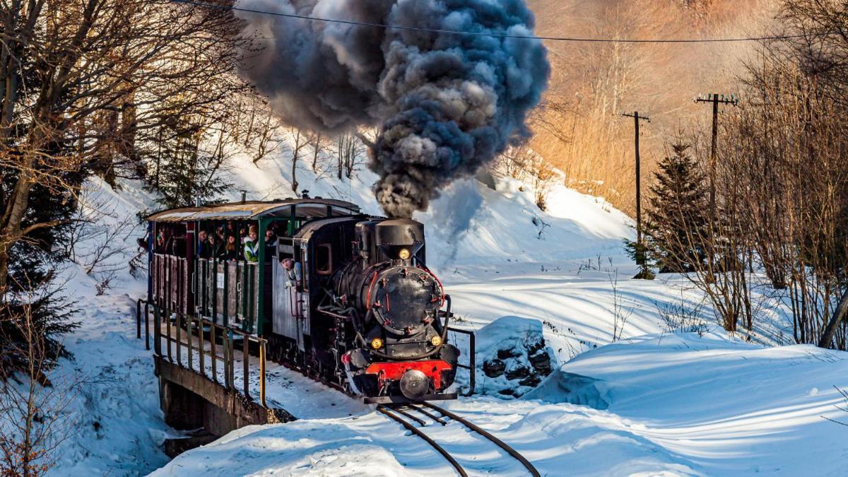 Drozdowka Nad Solina - Chata Z Kominkiem Dış mekan fotoğraf